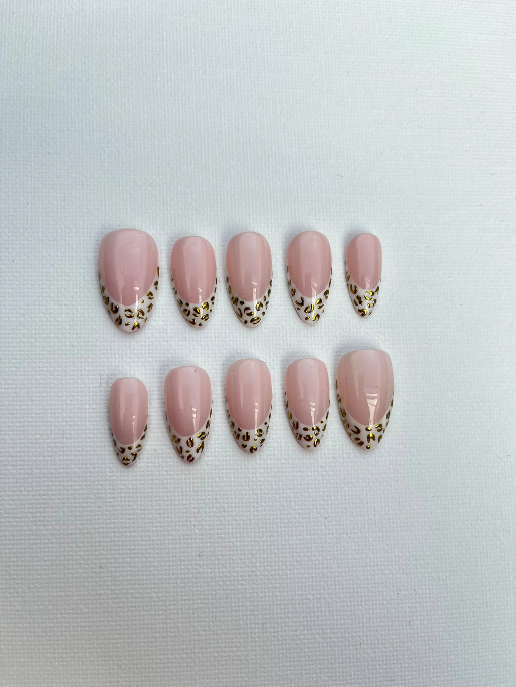 Set Camélia