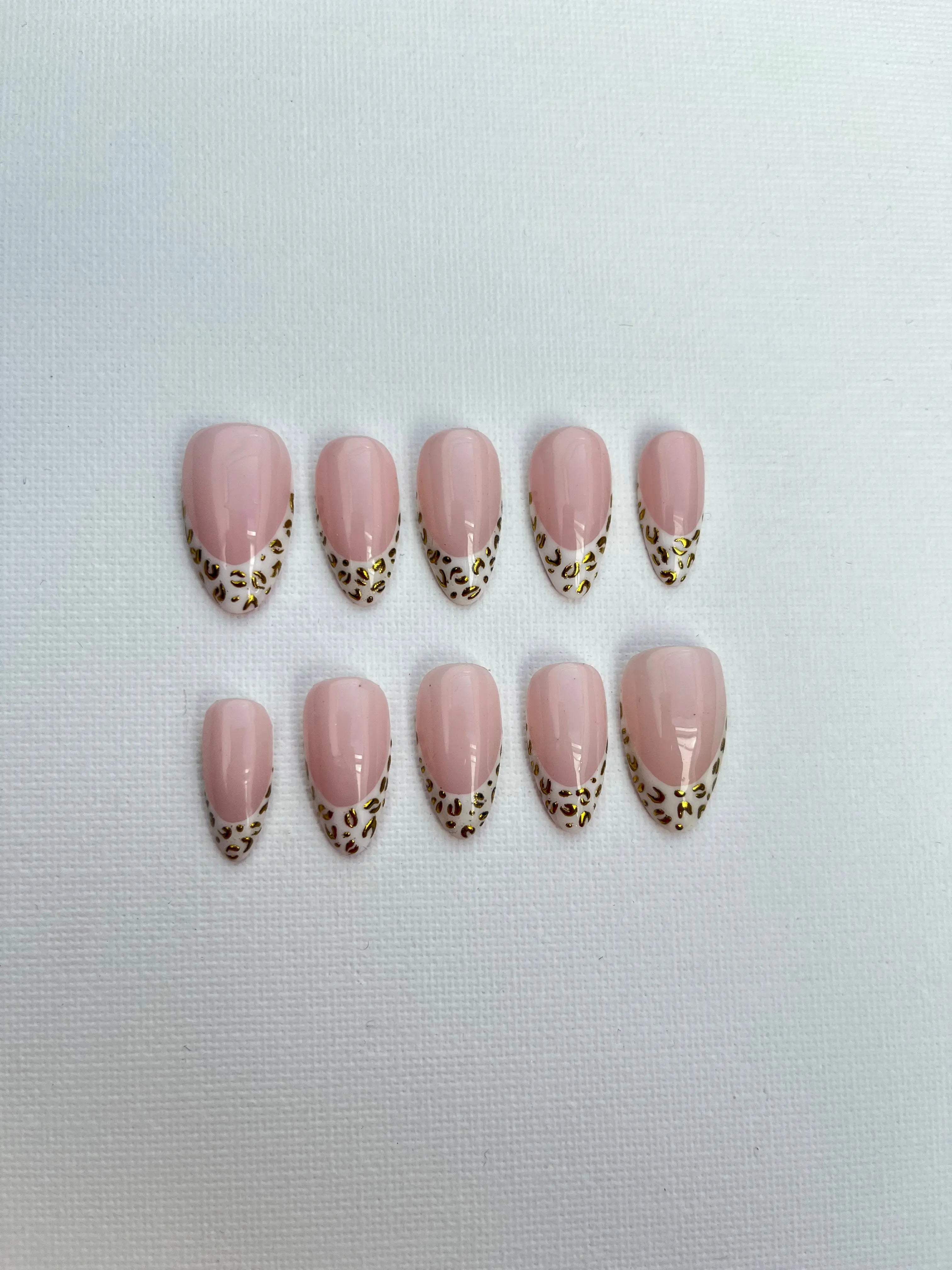 Set Camélia