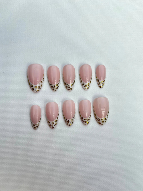 Set Camélia