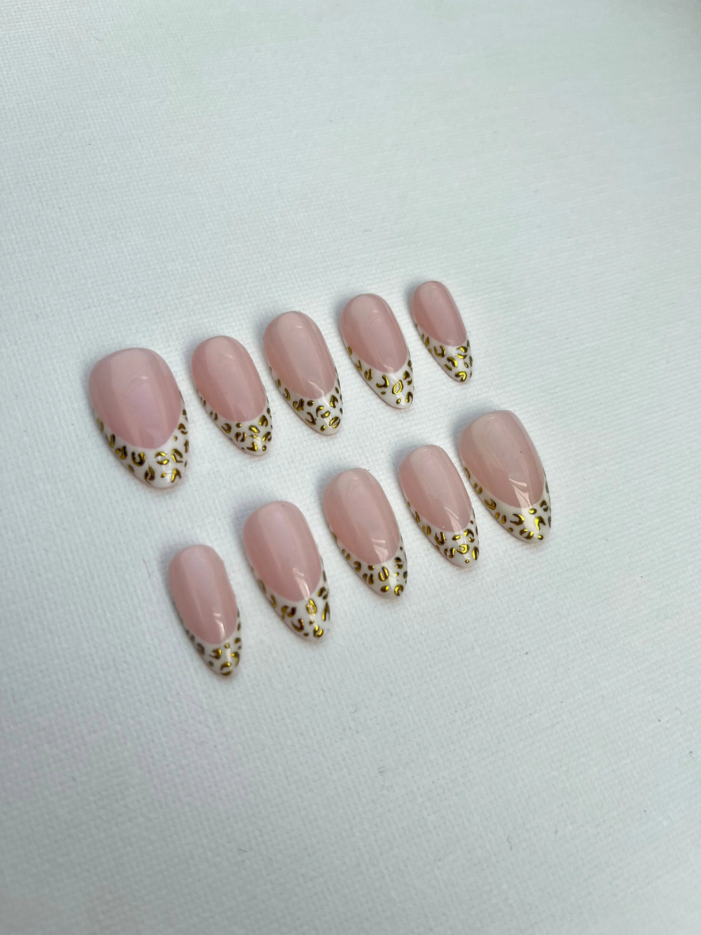 Set Camélia