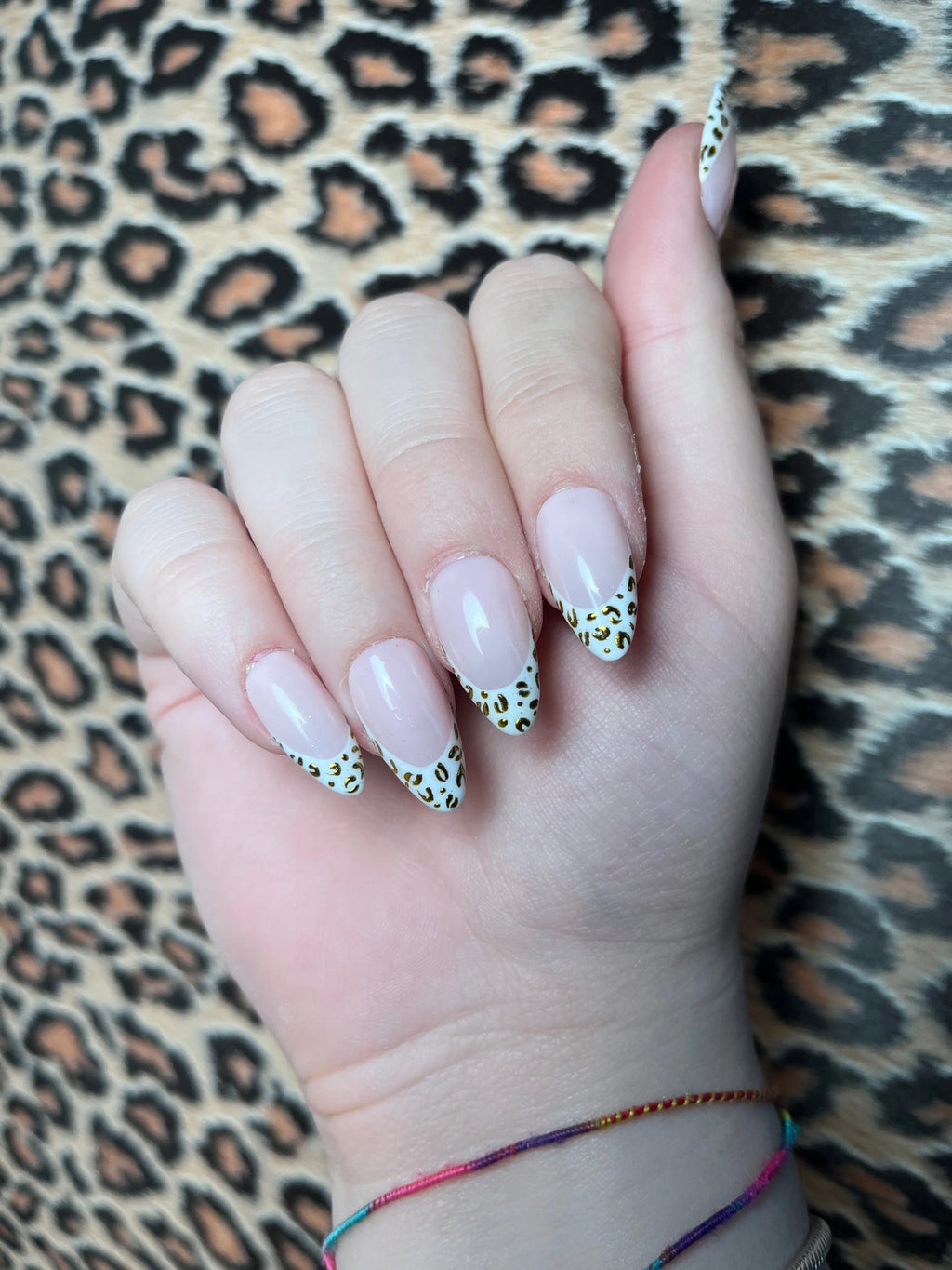 Set Camélia